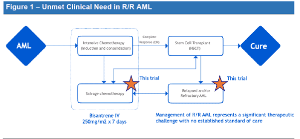 Race Oncology (ASX:RAC) - Unmet clinical Need