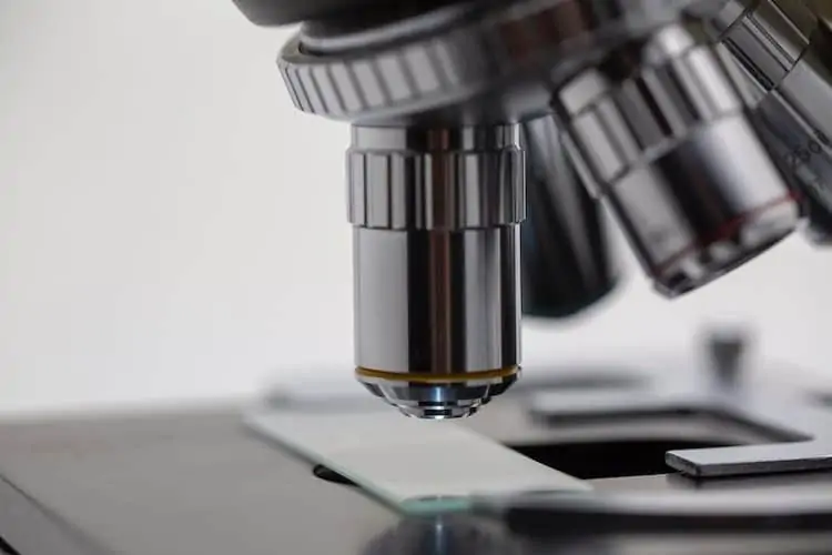 Race Oncology (ASX:RAC) is a Potential Acquisition Target in a $530B M&A Market